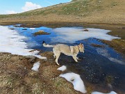 18 Bella fresca quest'acqua con la neve